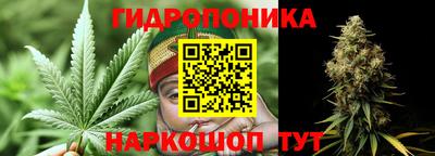 хмурый Бердск