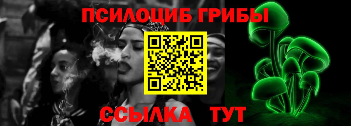 Псилоцибиновые грибы Cubensis Великий Новгород